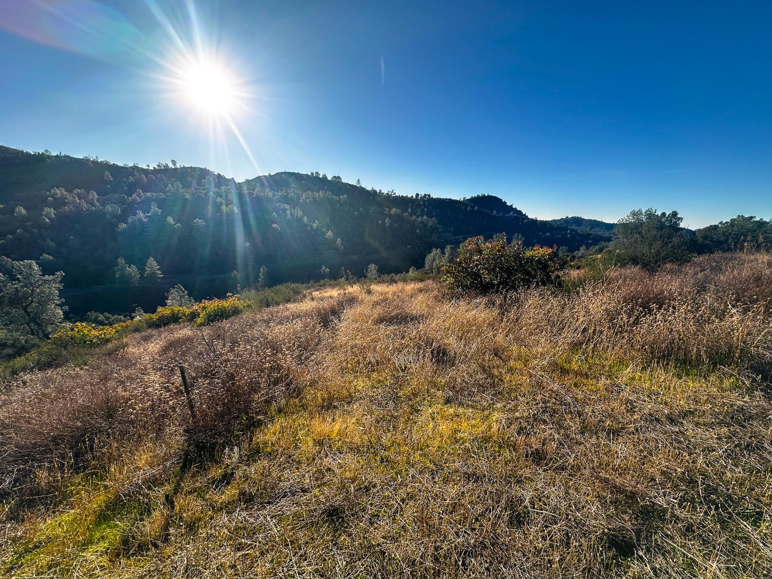 Moaning Cave Road, Vallecito, California image 4