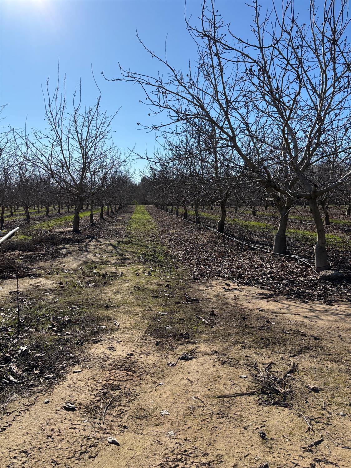 Geer Road, Modesto, California image 36