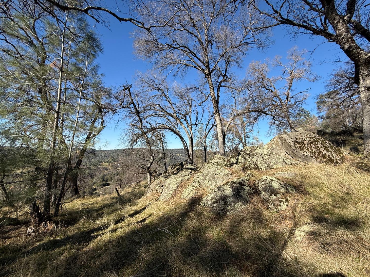 Applejack Drive, Grass Valley, California image 12