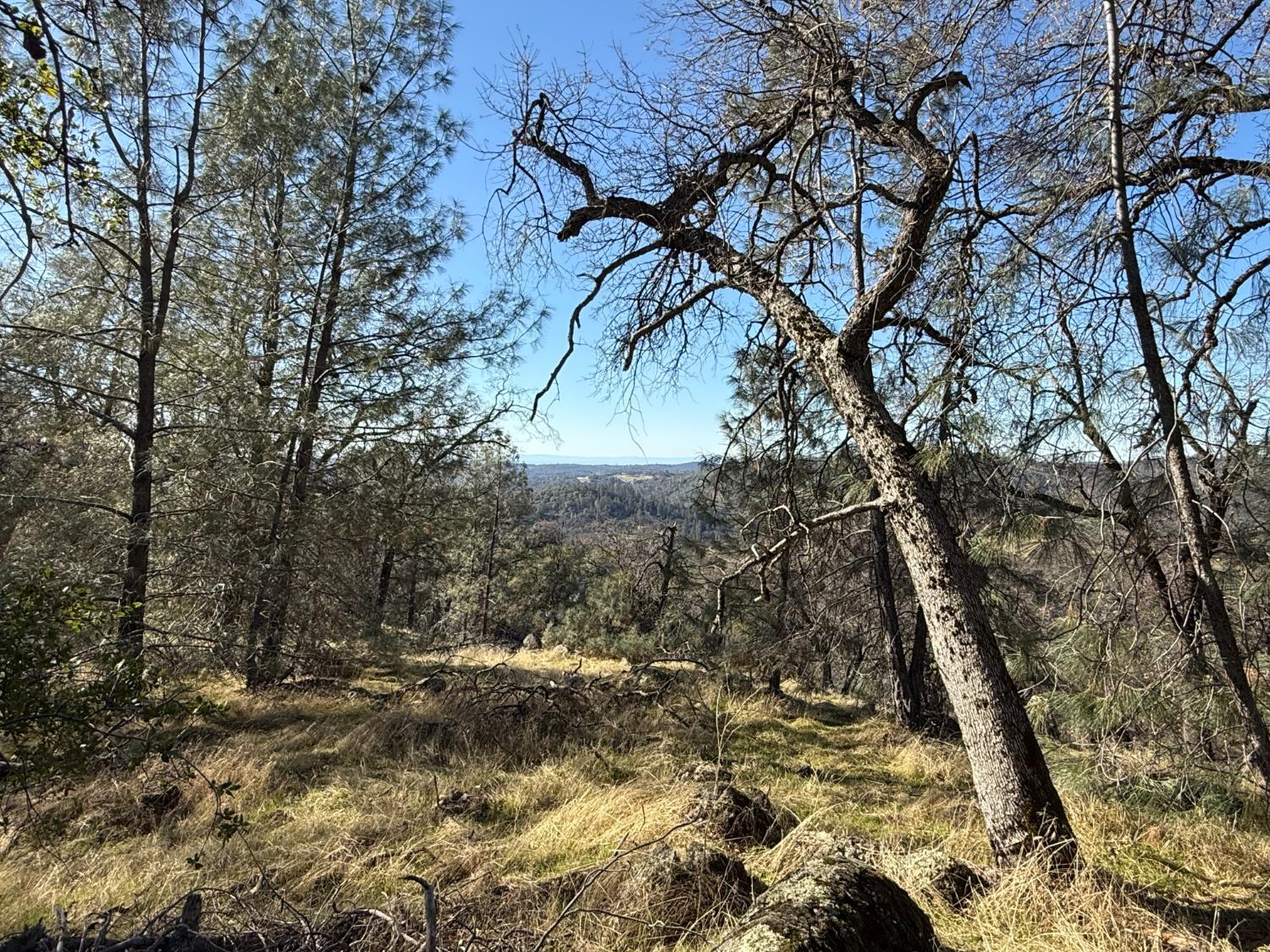 Applejack Drive, Grass Valley, California image 10