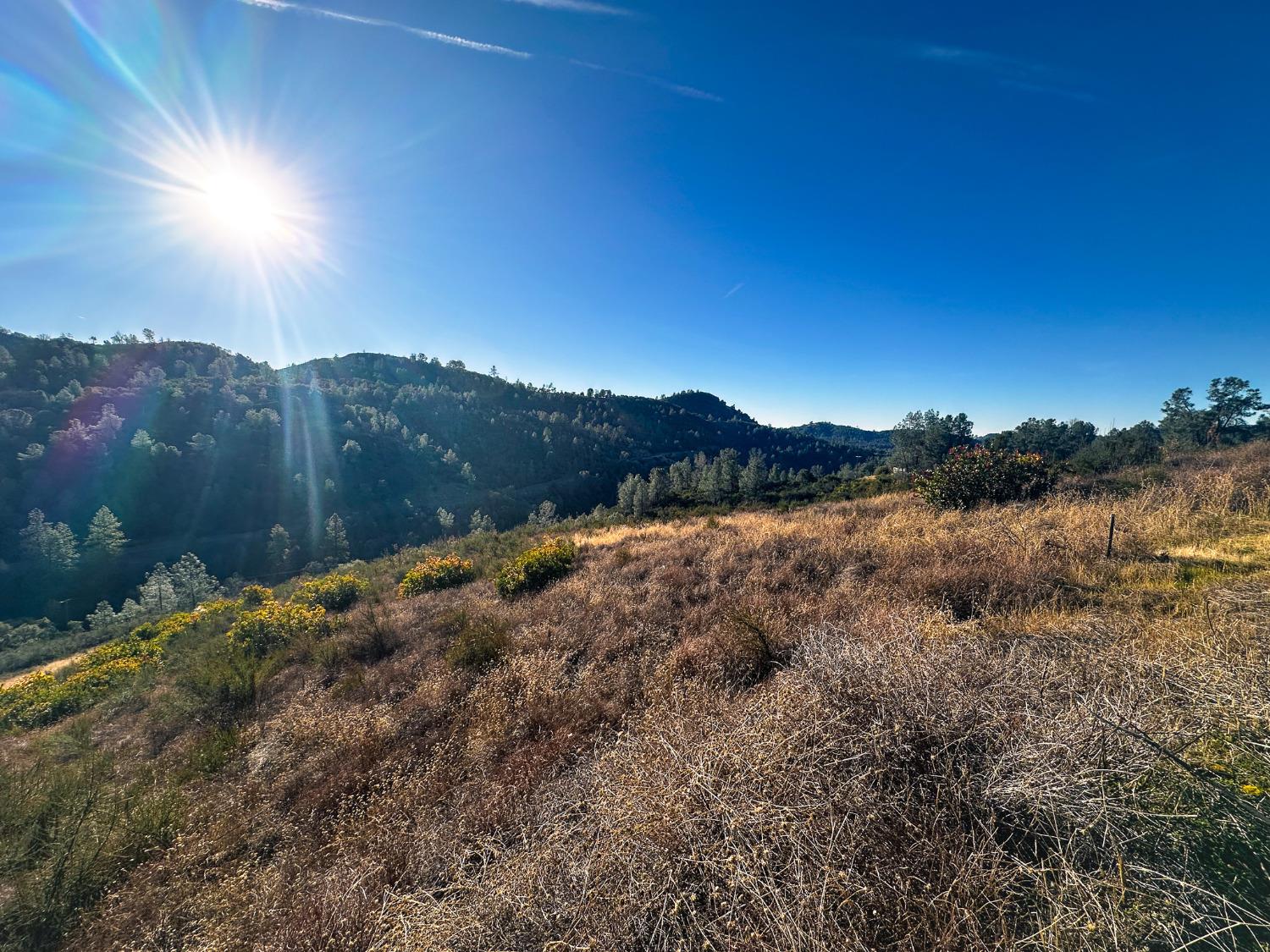 Moaning Cave Road, Vallecito, California image 8