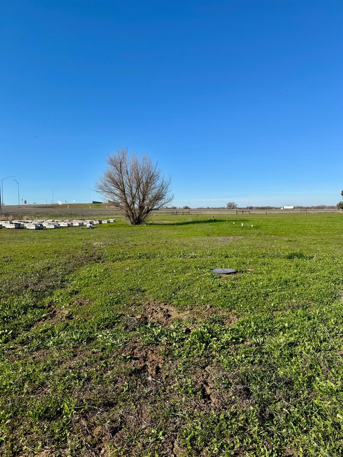 Nicolaus Avenue, Nicolaus, California image 11