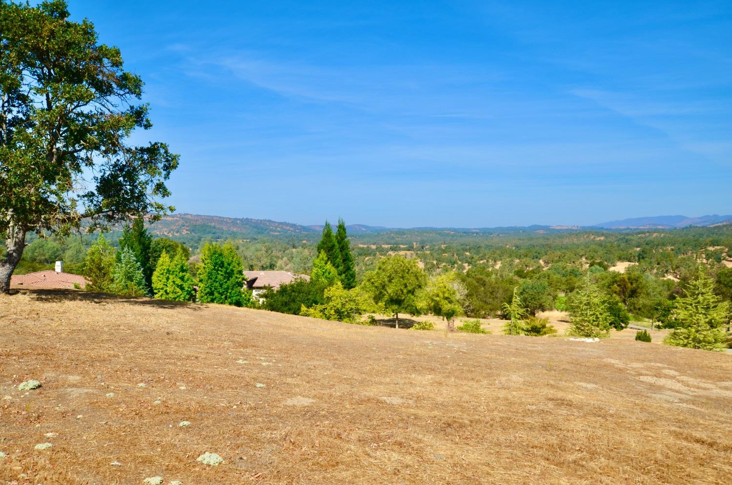 Leaf Crest Court, Copperopolis, California image 8