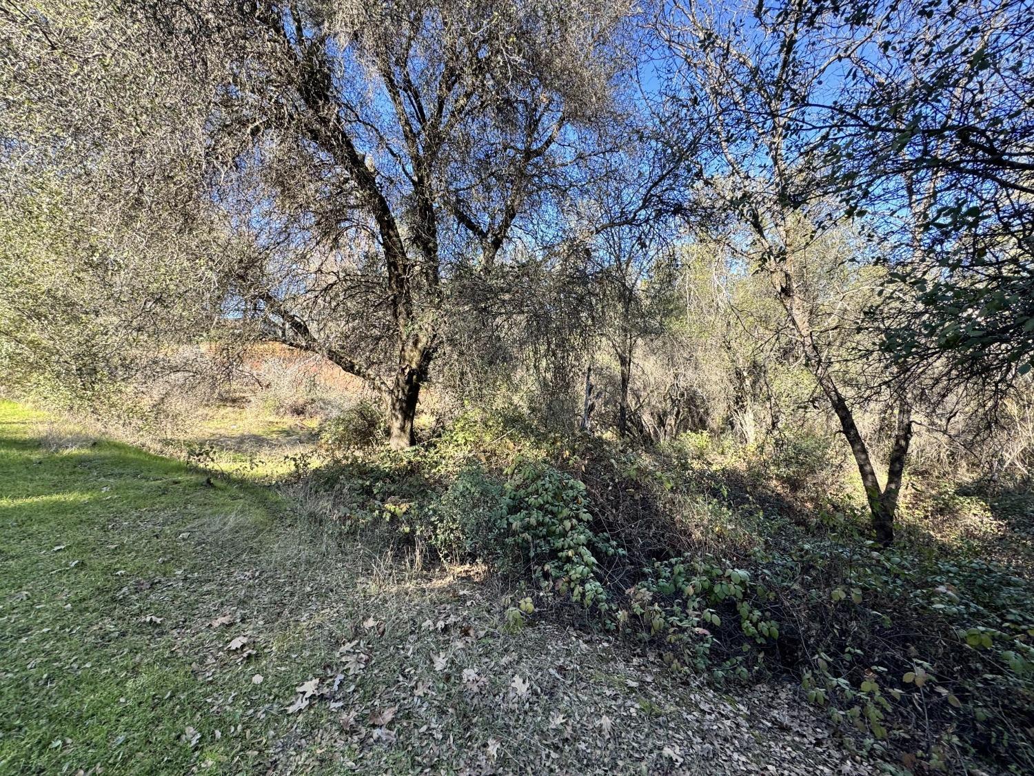 Joseph Lane, Diamond Springs, California image 8