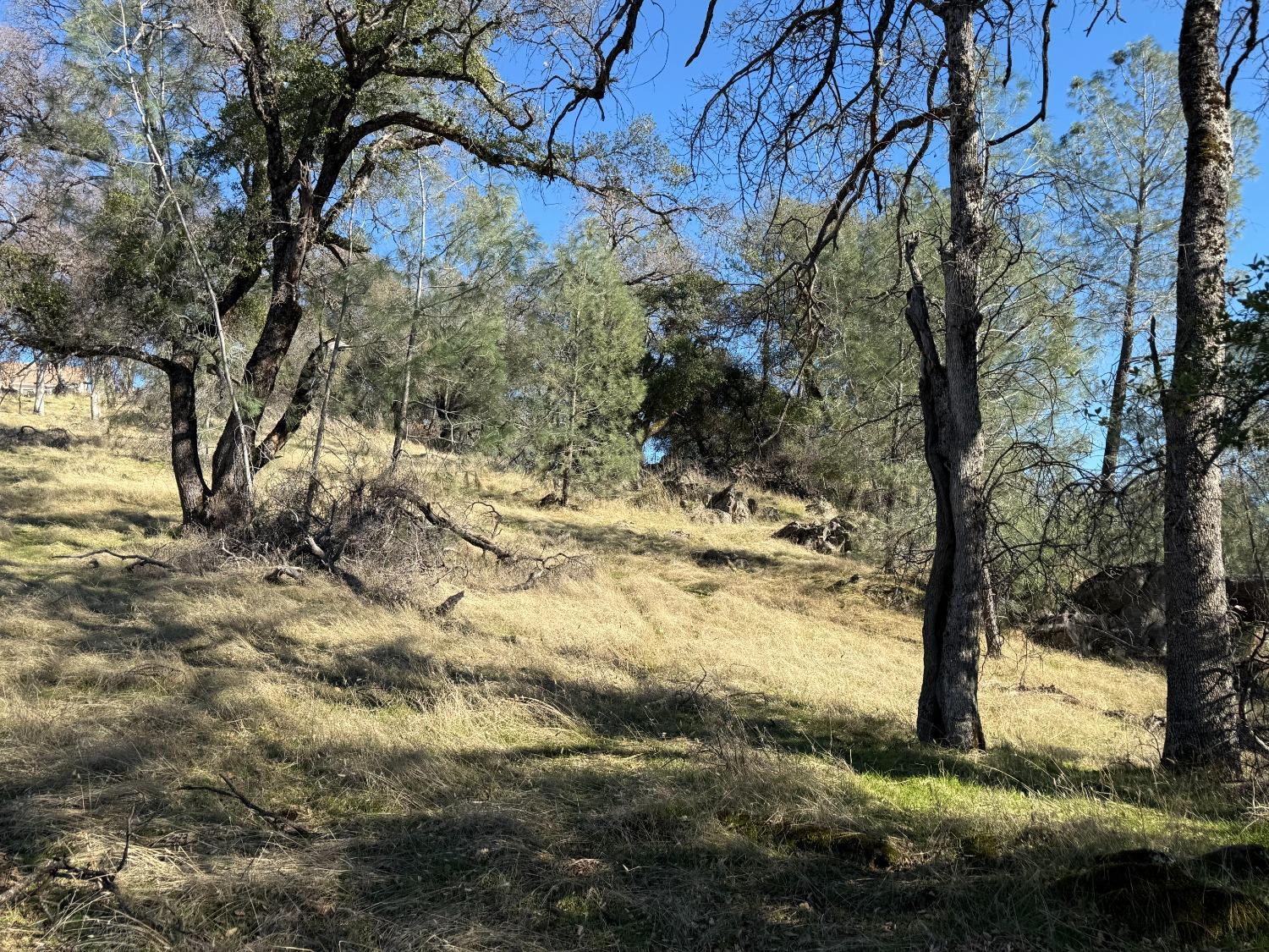 Applejack Drive, Grass Valley, California image 9