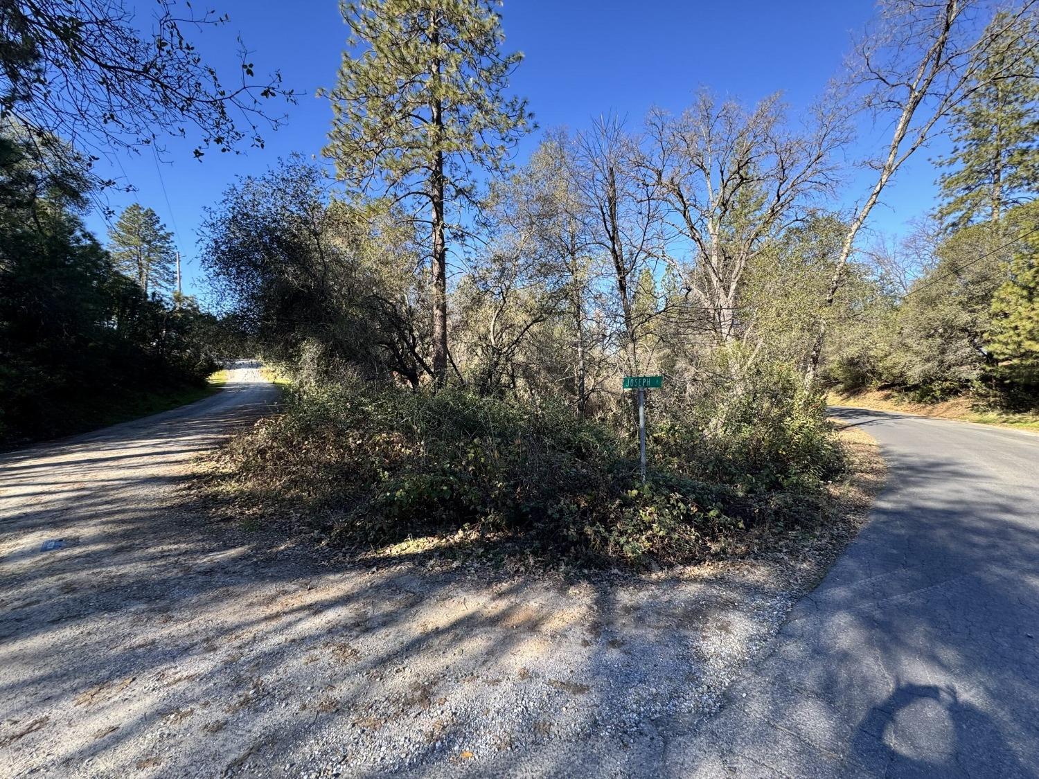 Joseph Lane, Diamond Springs, California image 1