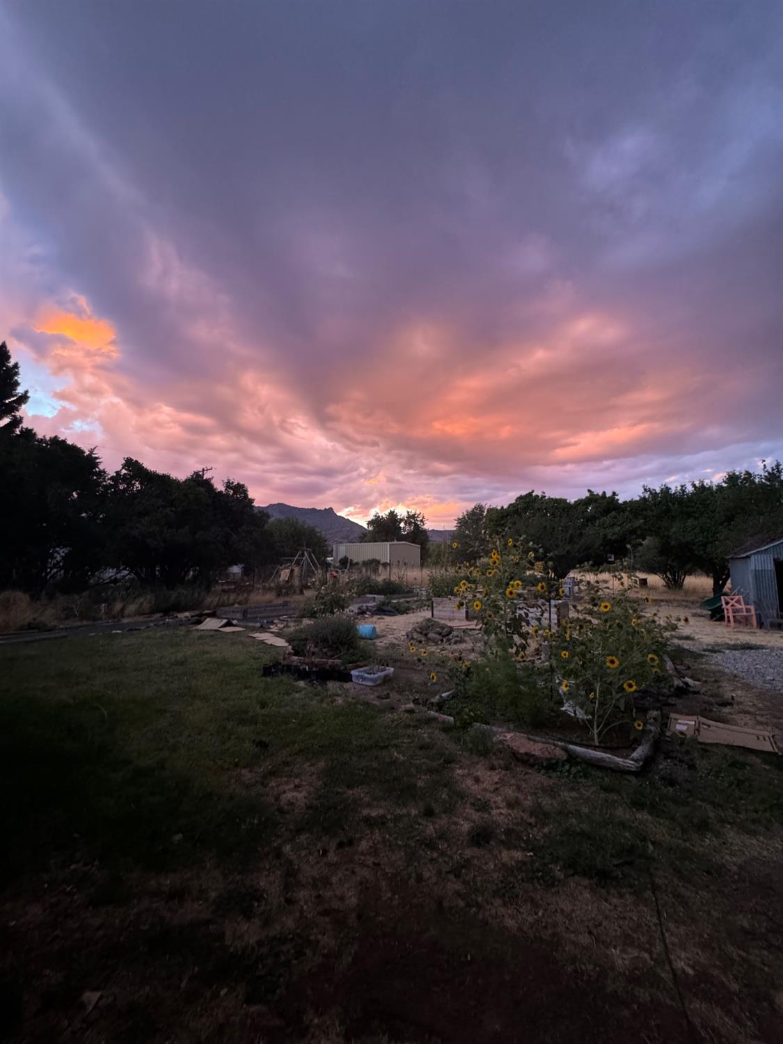 Townsend Street, Cedarville, California image 17