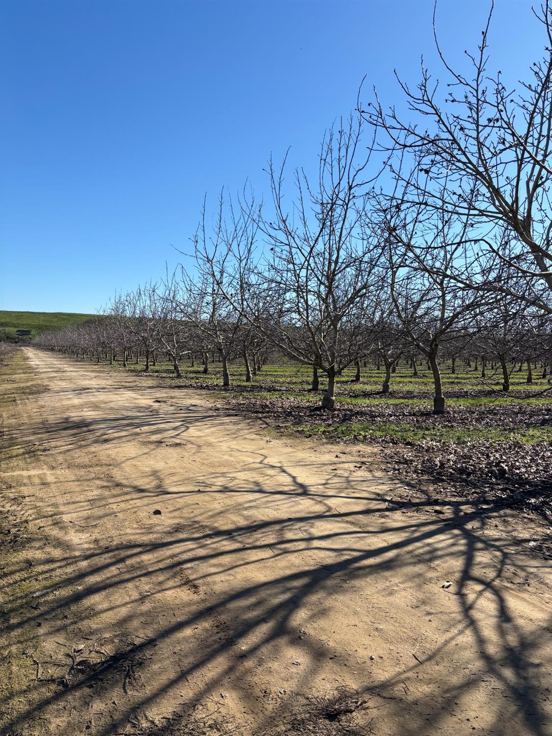 Geer Road, Modesto, California image 35