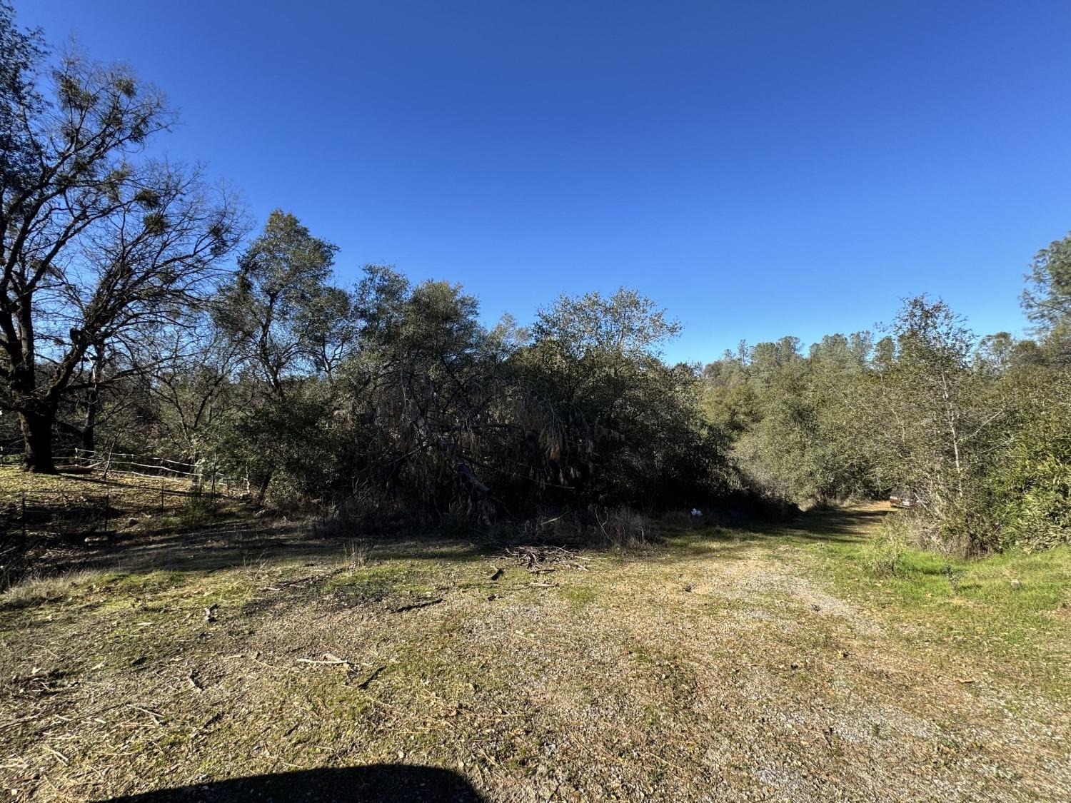 Joseph Lane, Diamond Springs, California image 1