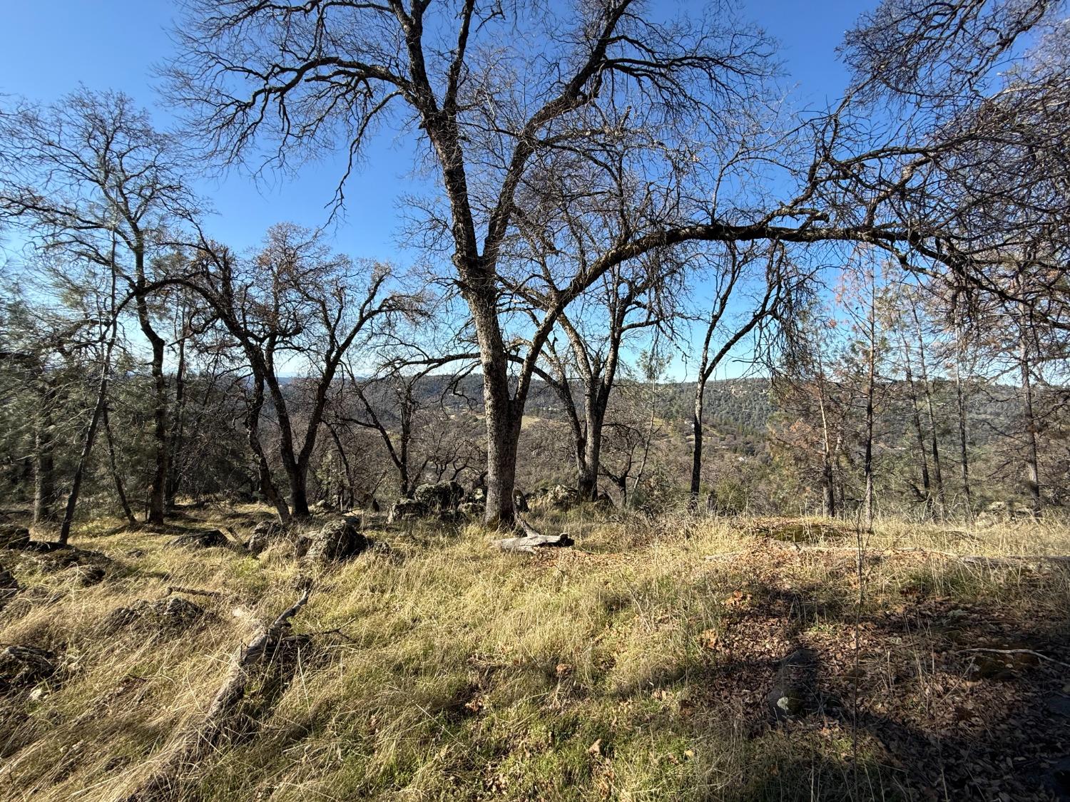 Applejack Drive, Grass Valley, California image 11