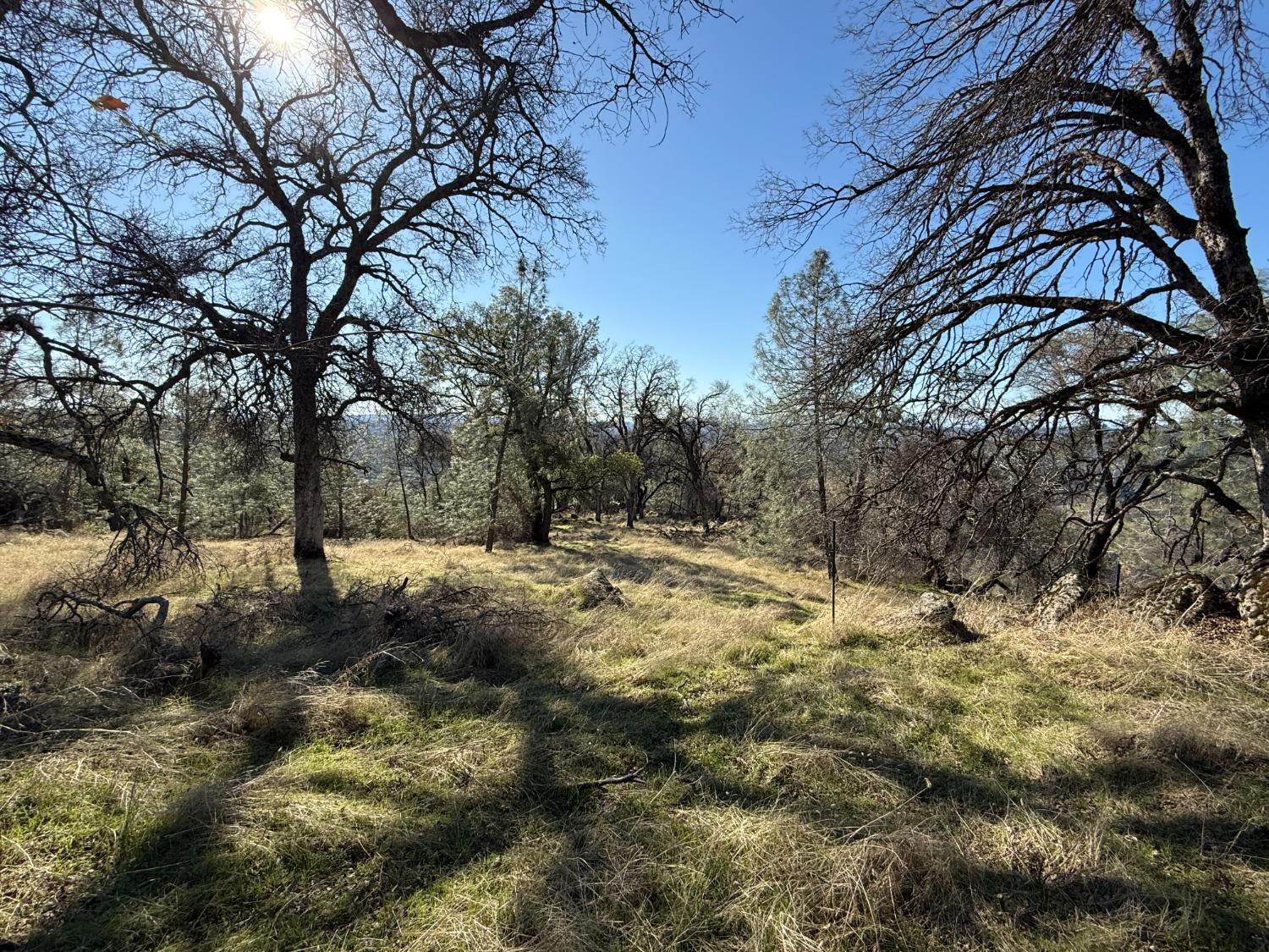 Applejack Drive, Grass Valley, California image 6