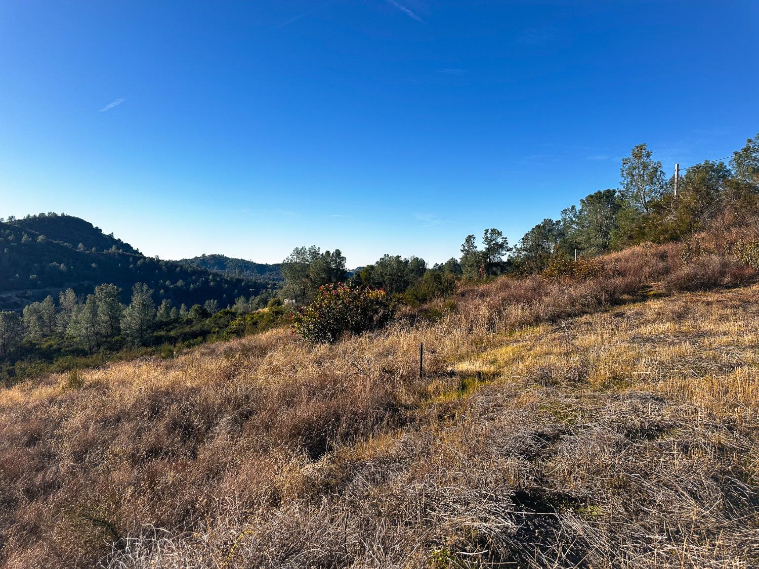 Moaning Cave Road, Vallecito, California image 11