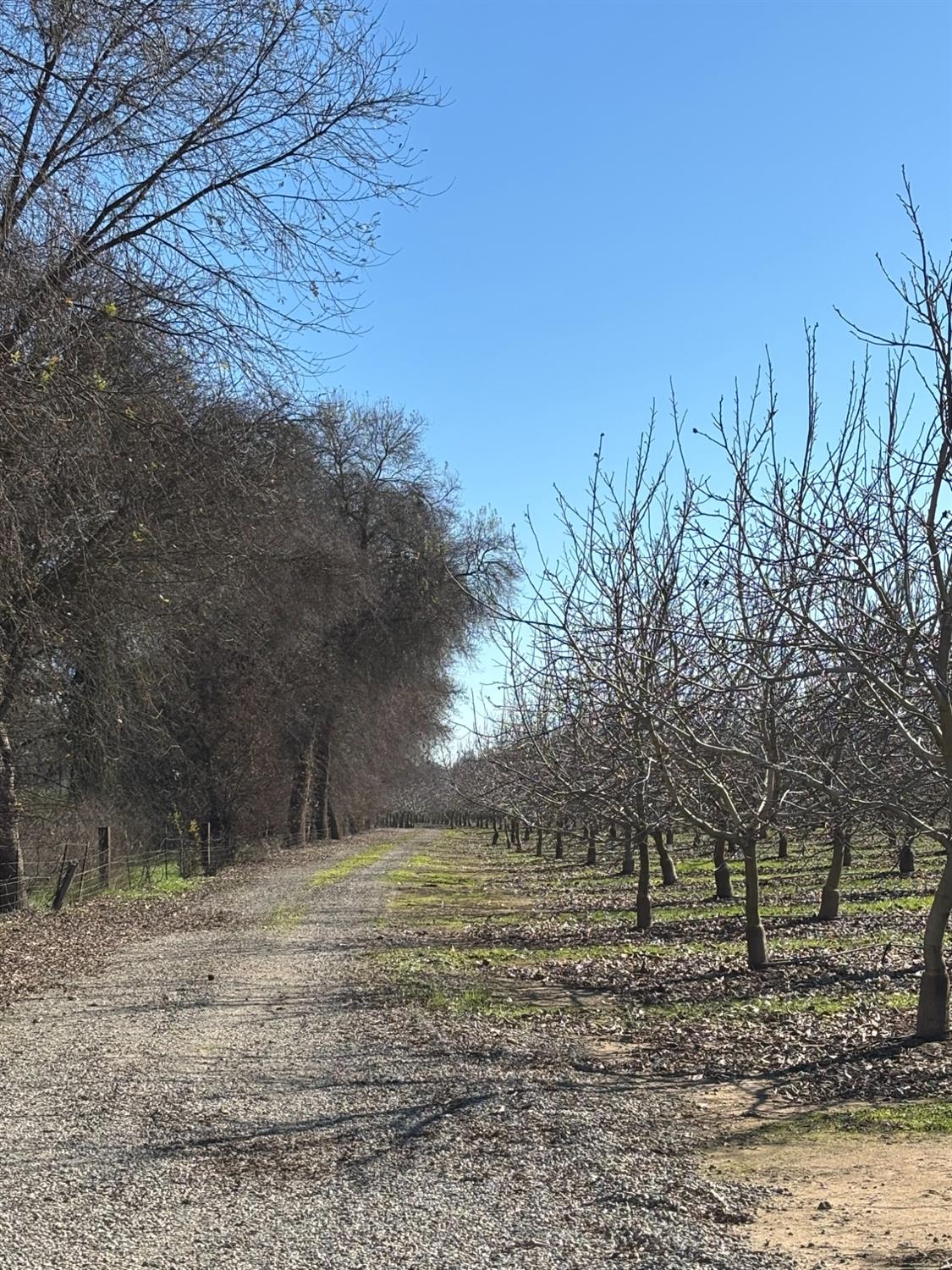 Geer Road, Modesto, California image 32