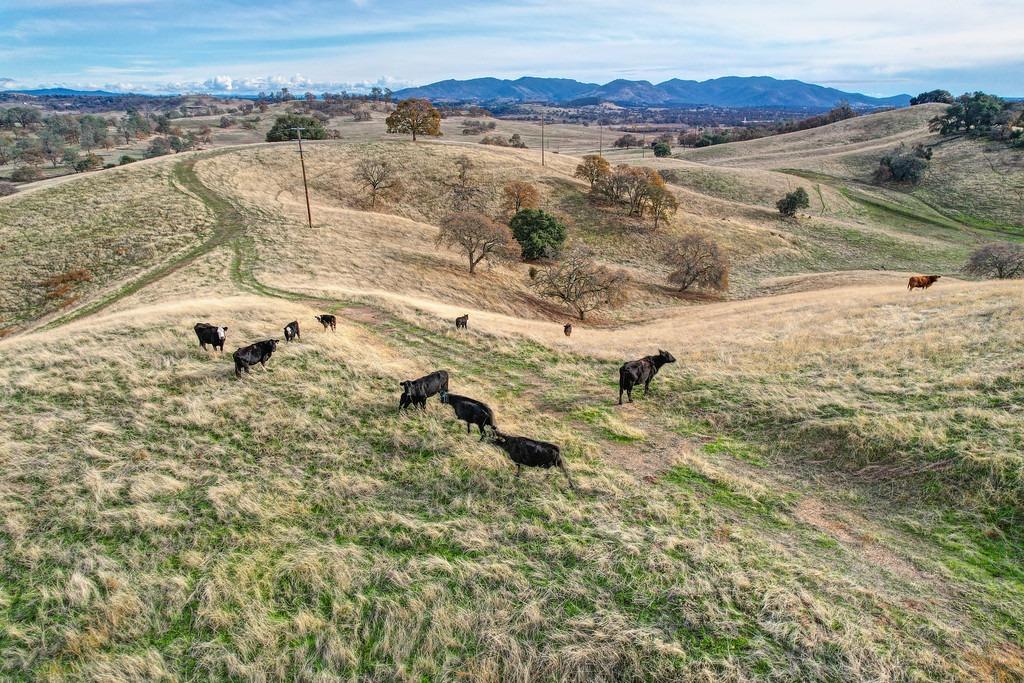 Watertown Rd., Valley Springs, California image 22