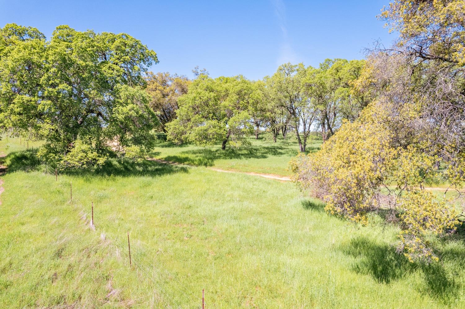 Detail Gallery Image 59 of 70 For 15215 Willow Creek Rd, Plymouth,  CA 95669 - 3 Beds | 3 Baths