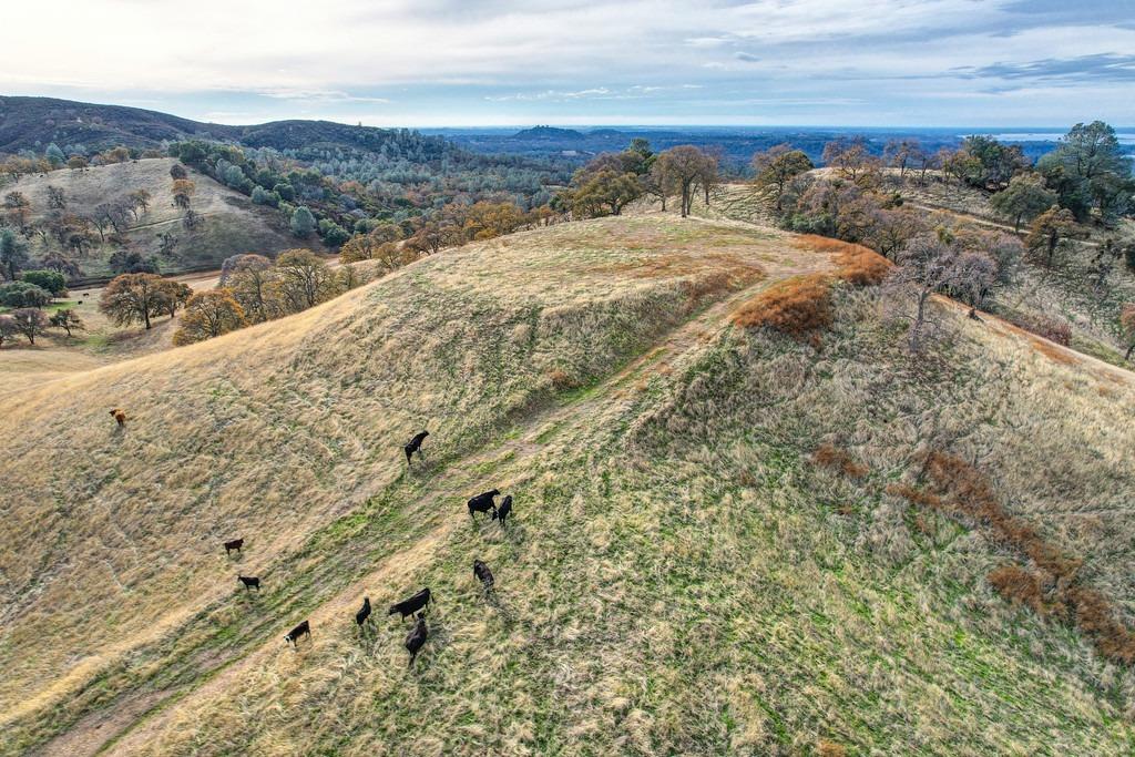 Watertown Rd., Valley Springs, California image 23