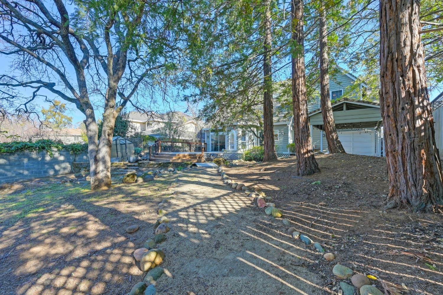 Snowberry Way, Orangevale, California image 38