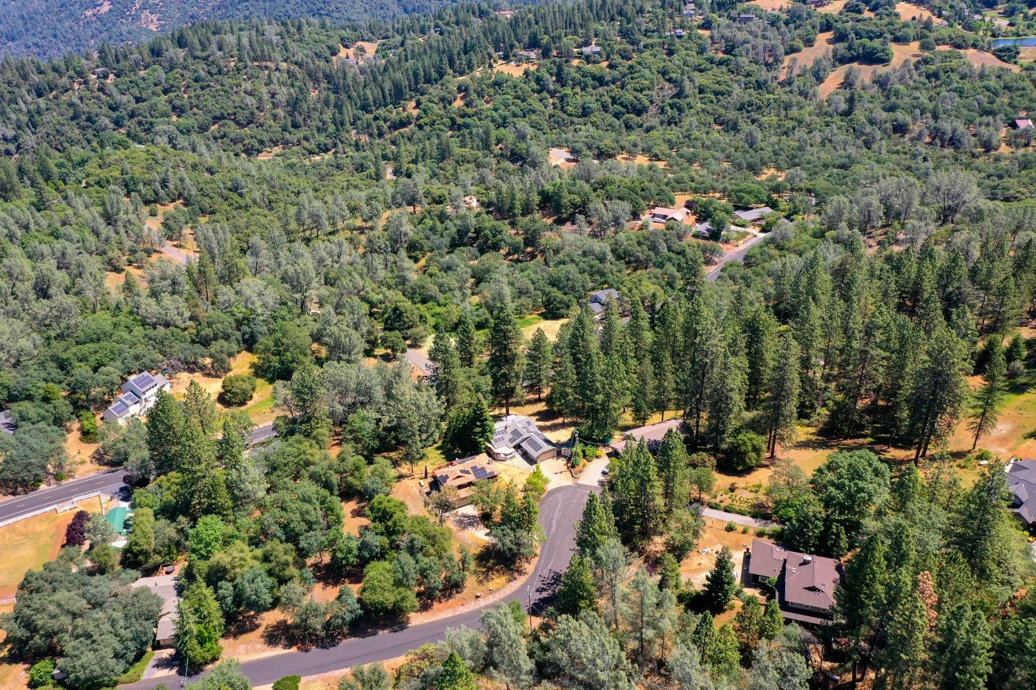 Pepper Boy Court, Cool, California image 48