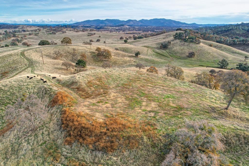 Watertown Rd., Valley Springs, California image 21