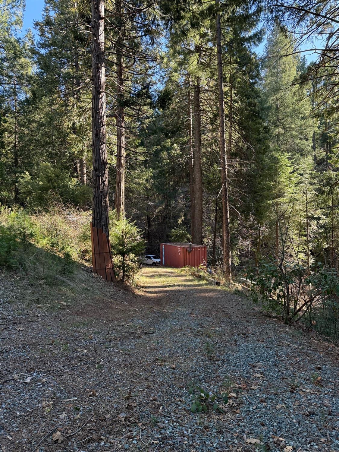 Off Forebay Lane, Pollock Pines, California image 2