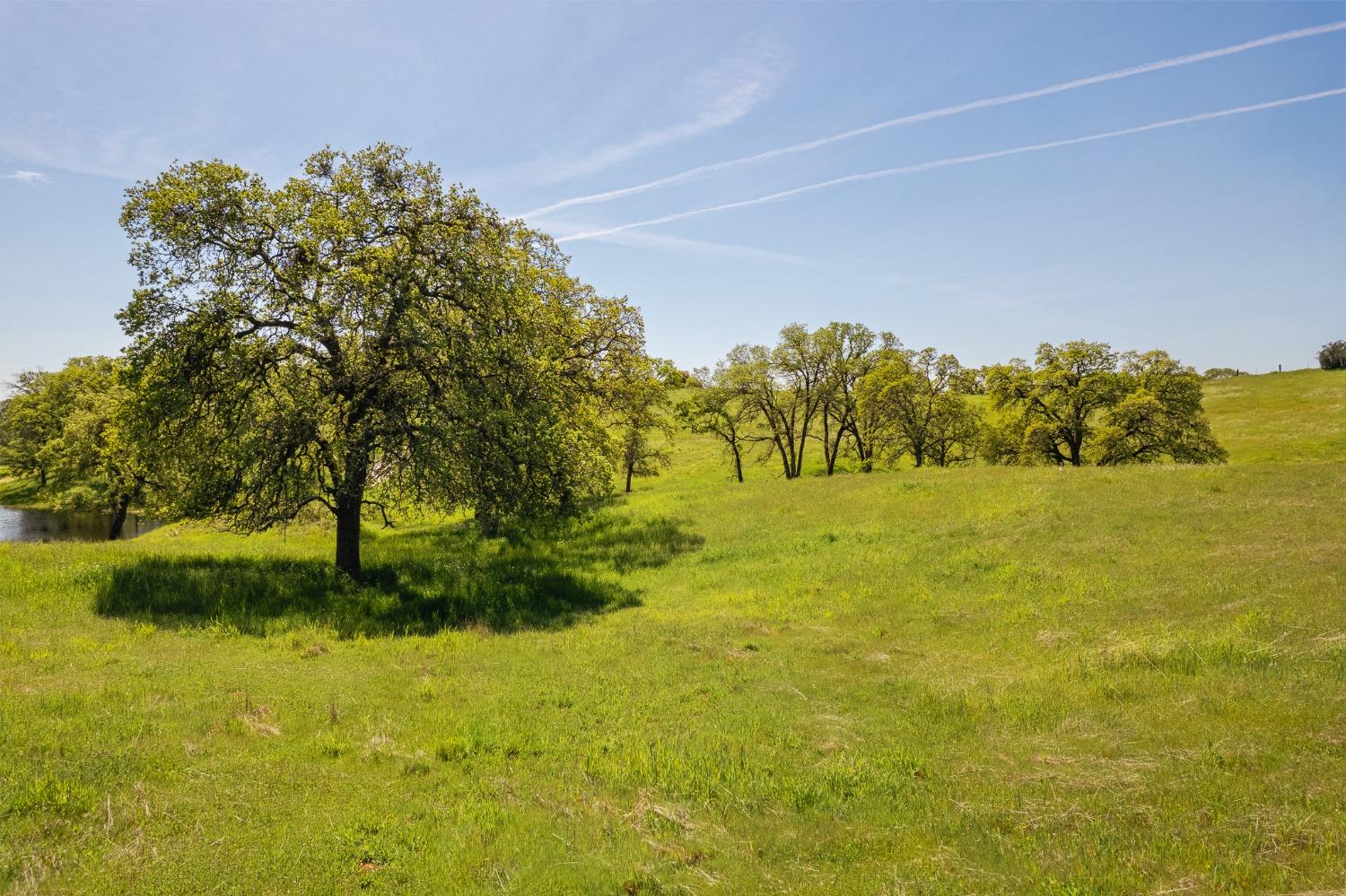 Detail Gallery Image 66 of 70 For 15215 Willow Creek Rd, Plymouth,  CA 95669 - 3 Beds | 3 Baths