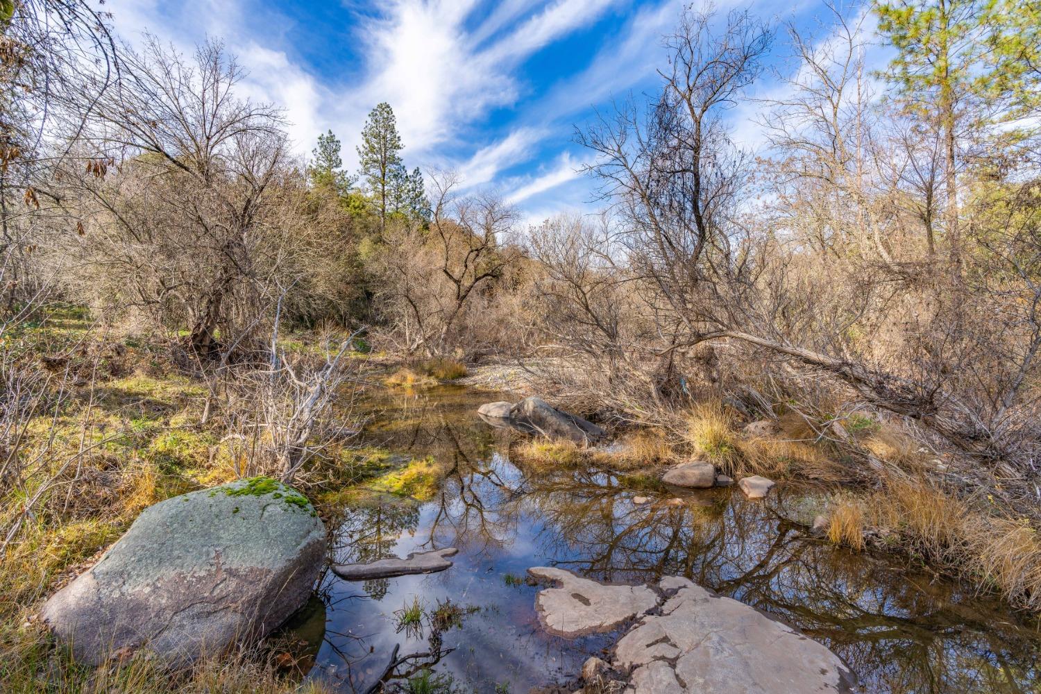 Emigrant Trail, River Pines, California image 4