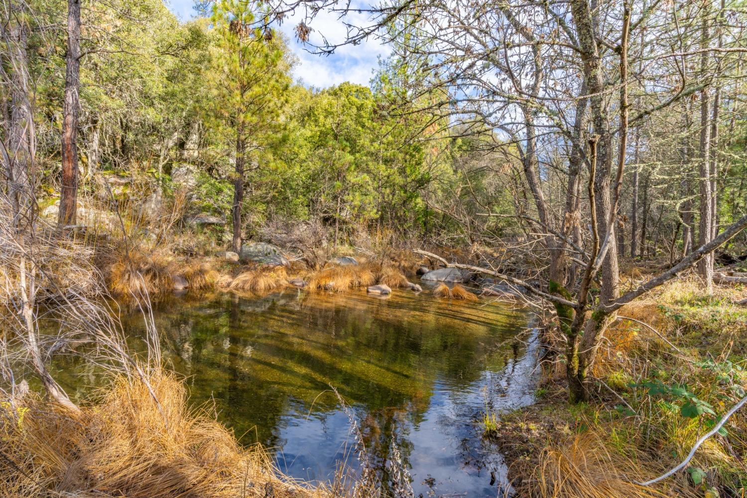 Emigrant Trail, River Pines, California image 2