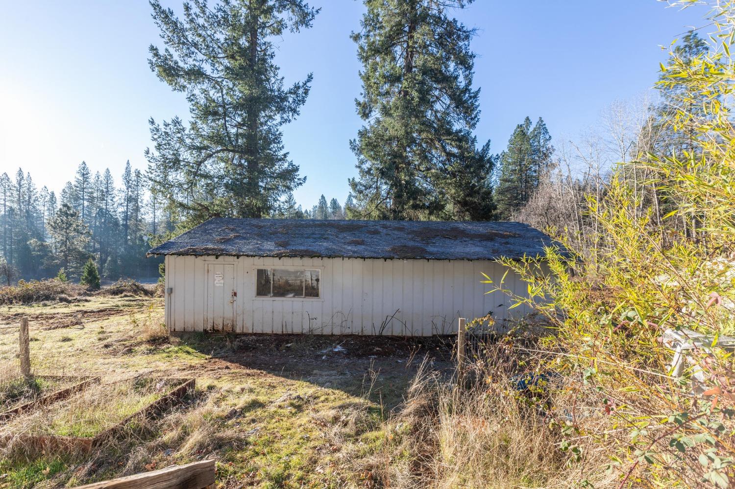 Burma Road, Grass Valley, California image 19