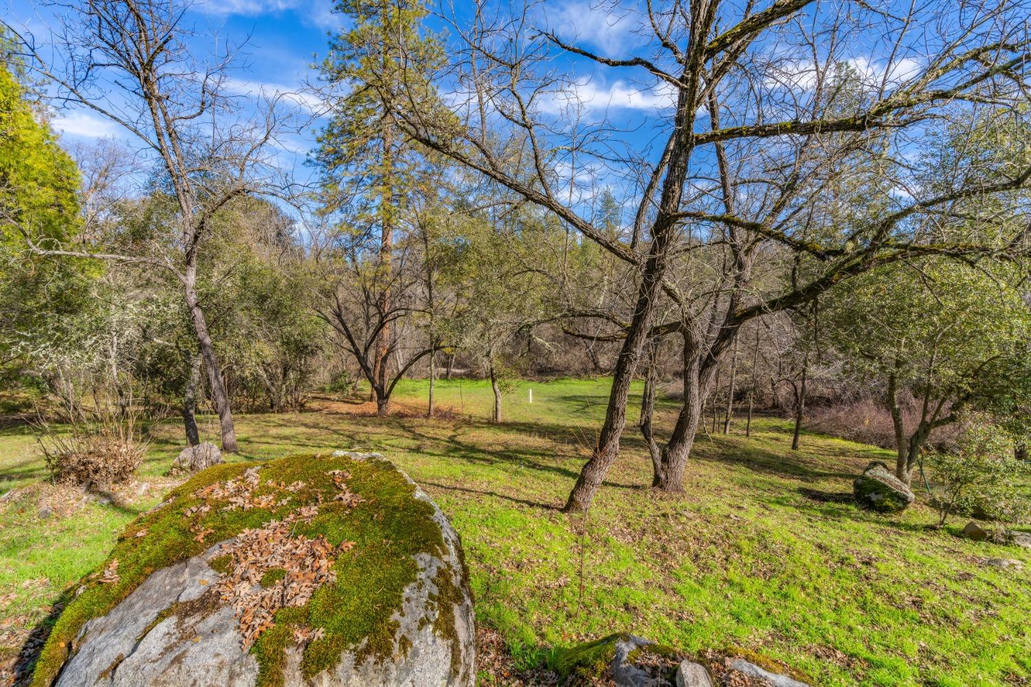 Emigrant Trail, River Pines, California image 15