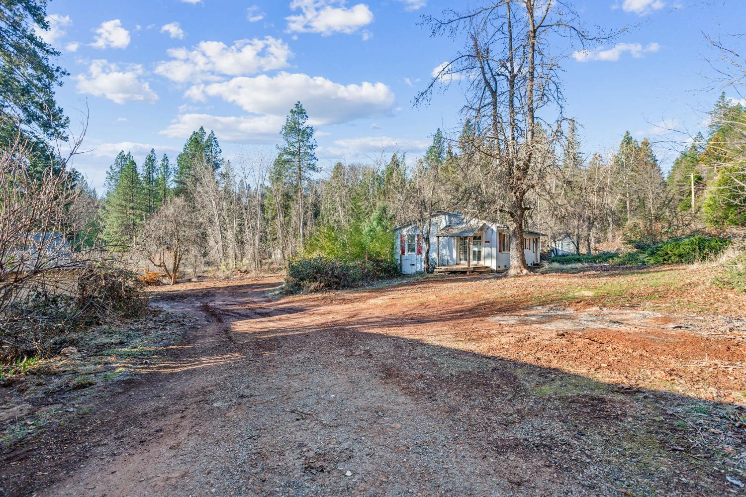 Burma Road, Grass Valley, California image 18