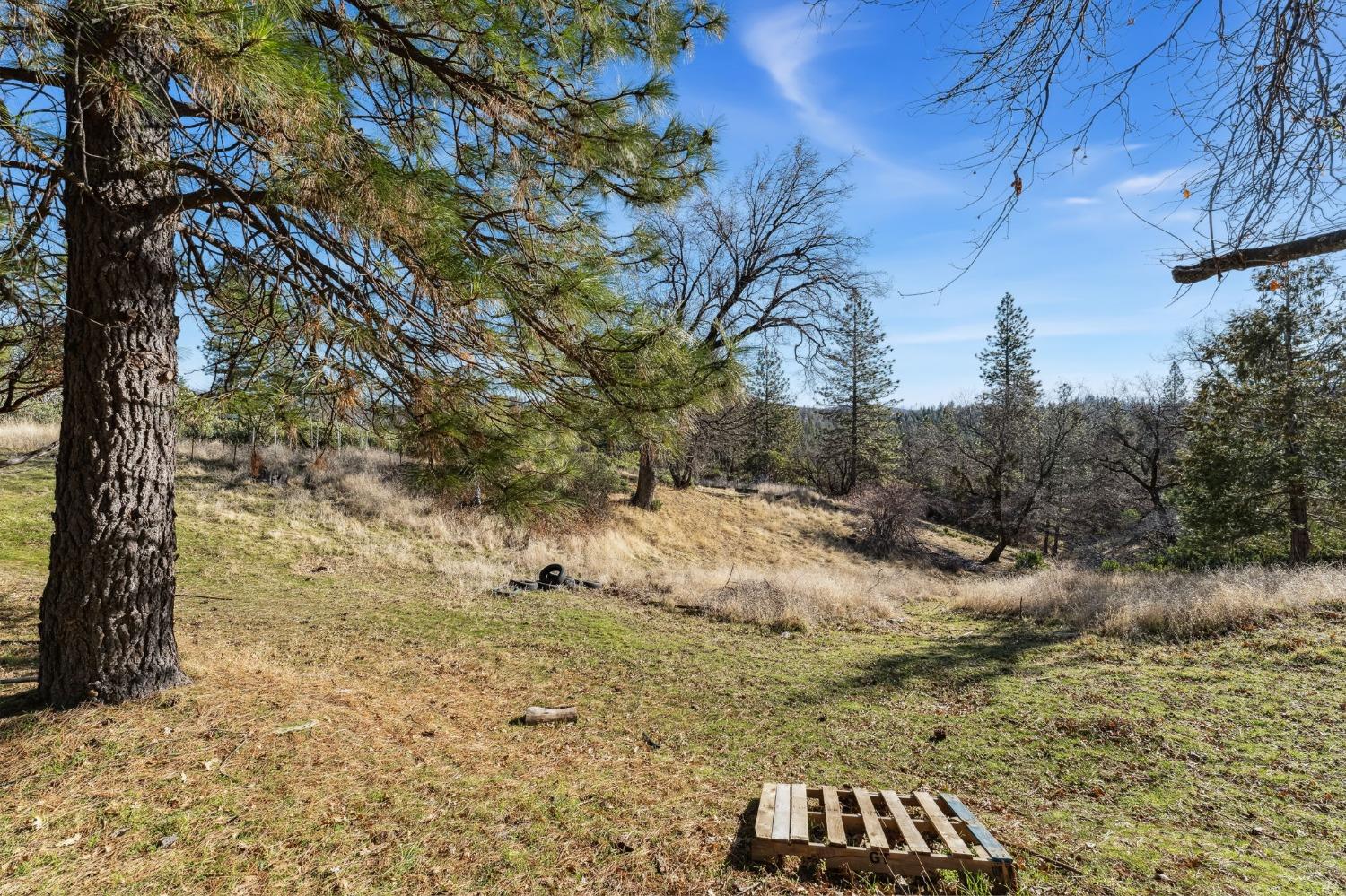 Cosumnes Mine Road, Somerset, California image 11