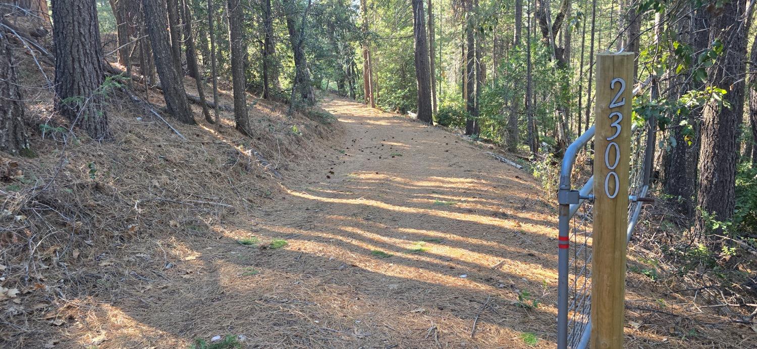 Snowy Way, Georgetown, California image 1