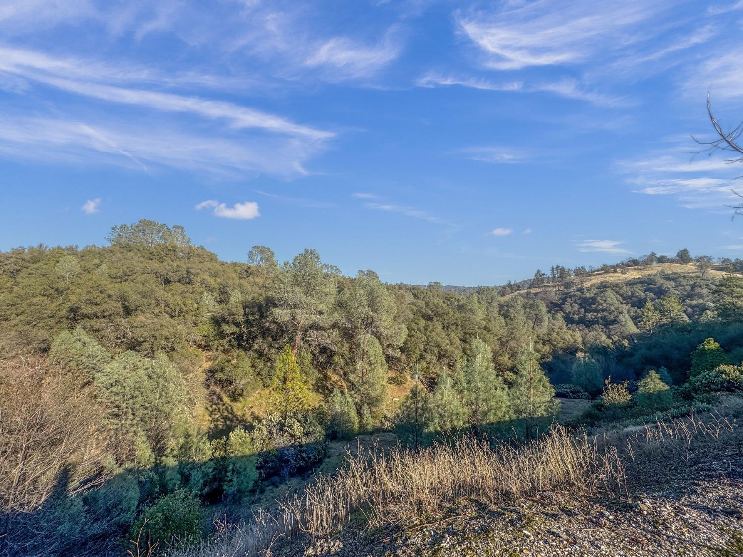 Rolleri Bypass, Angels Camp, California image 4