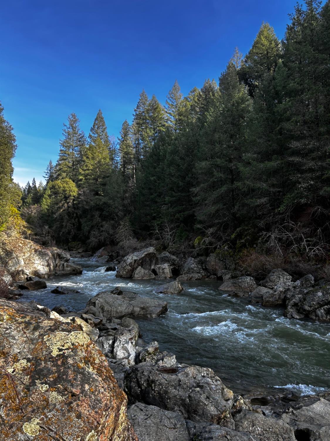 Old Emigrant Trail, Grass Valley, California image 31