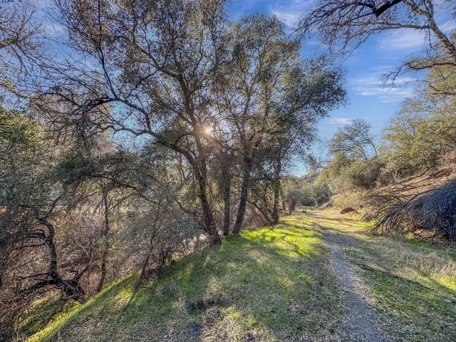 Rolleri Bypass, Angels Camp, California image 8