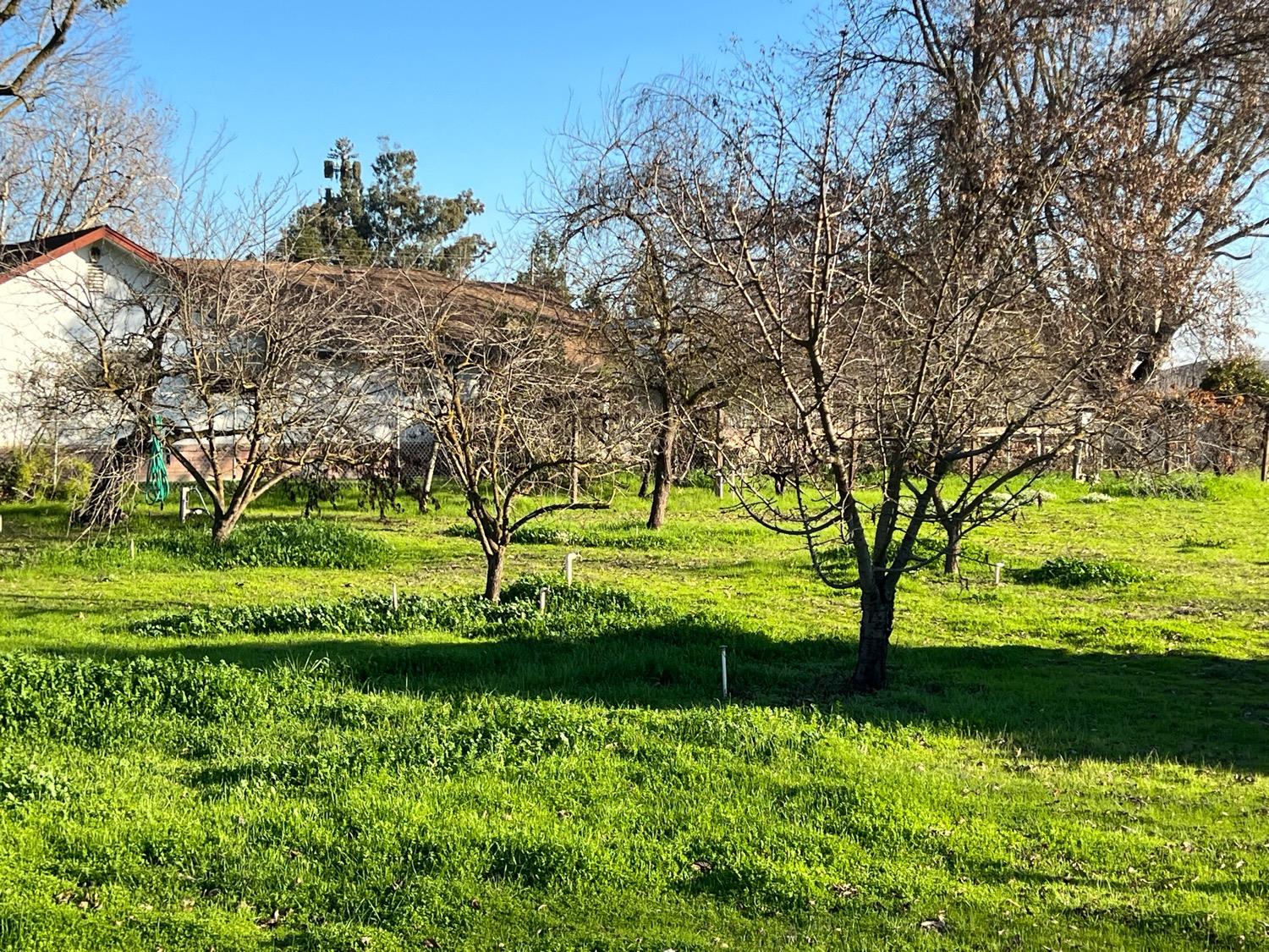 E Harney Lane, Lodi, California image 13