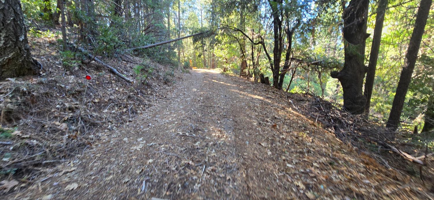 Snowy Way, Georgetown, California image 2