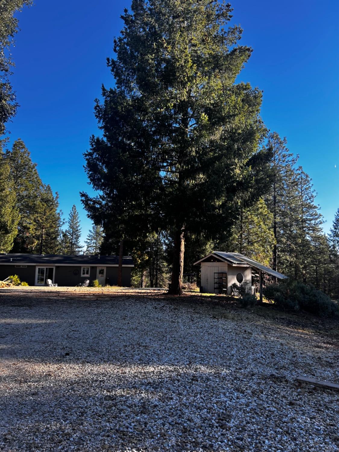 Old Emigrant Trail, Grass Valley, California image 3