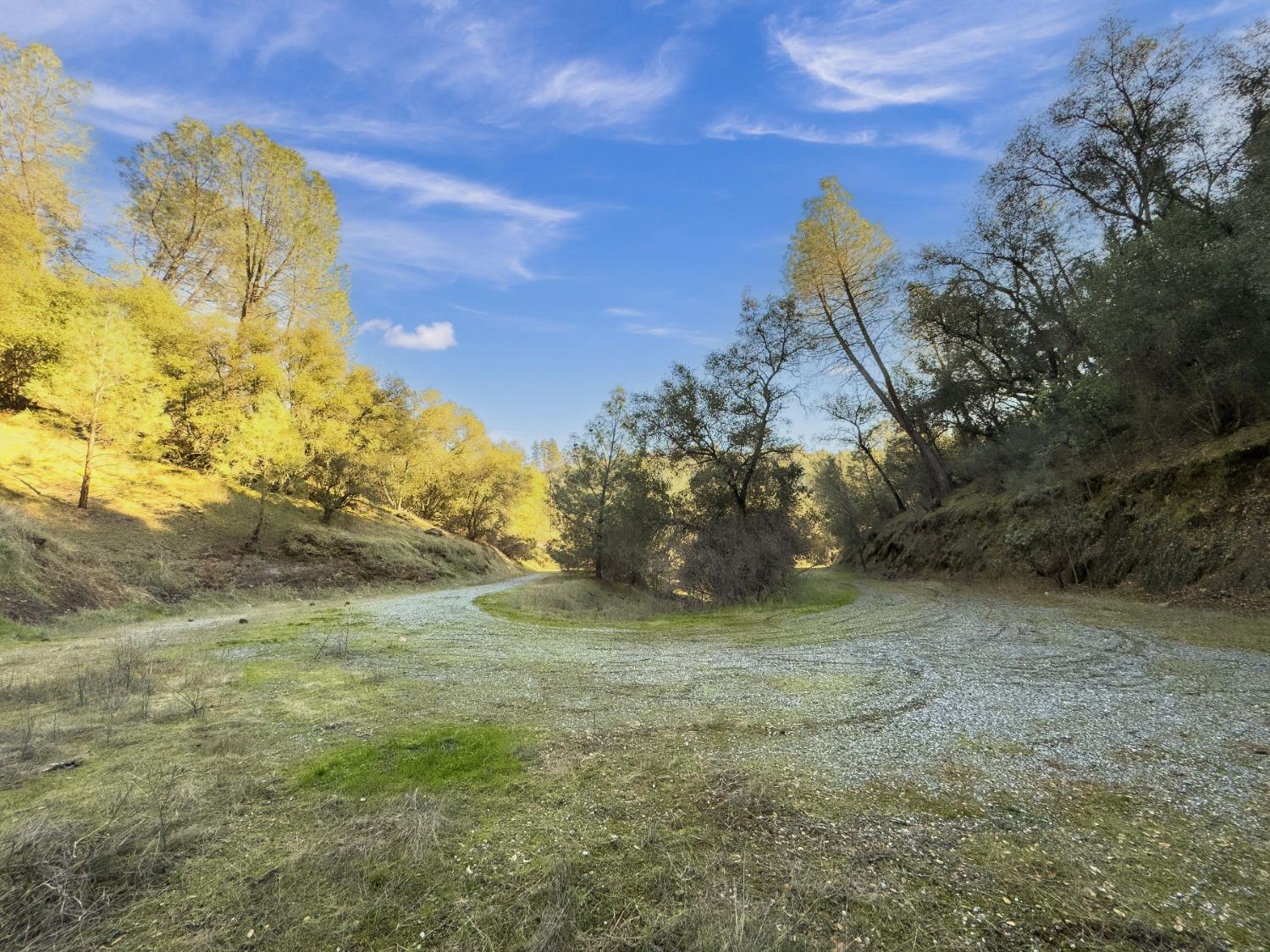 Rolleri Bypass, Angels Camp, California image 2