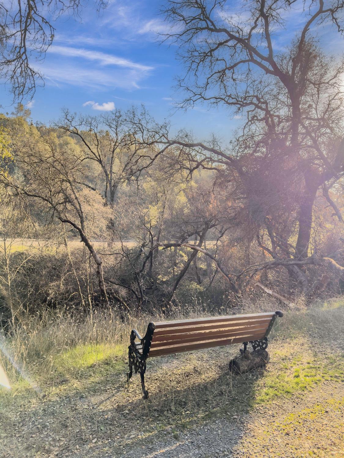 Rolleri Bypass, Angels Camp, California image 5