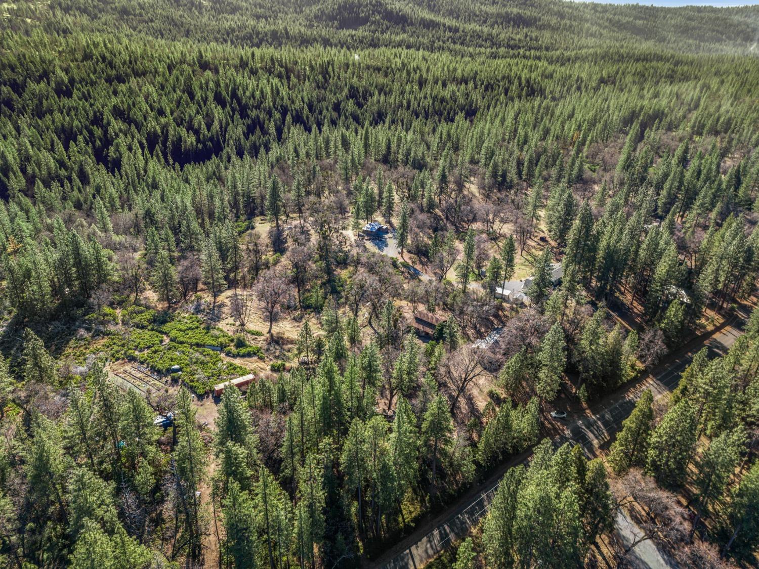 Cosumnes Mine Road, Somerset, California image 31