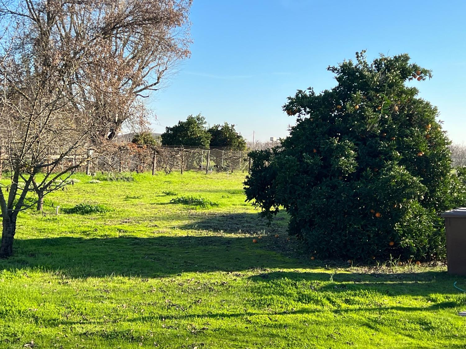 E Harney Lane, Lodi, California image 3