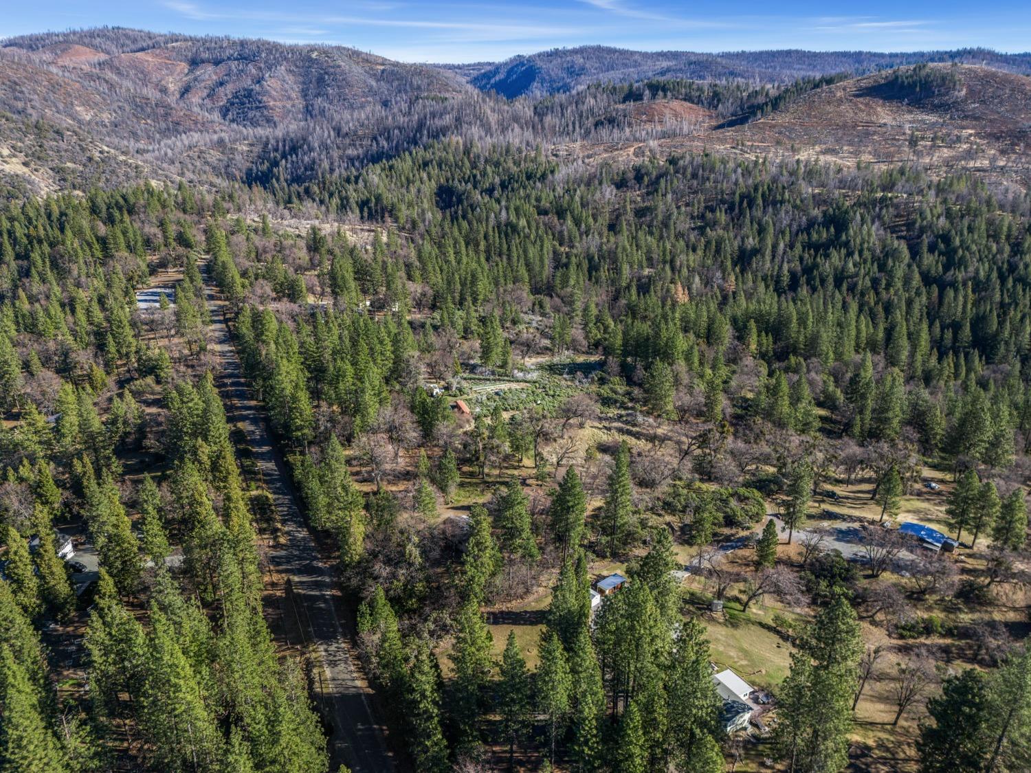 Cosumnes Mine Road, Somerset, California image 28