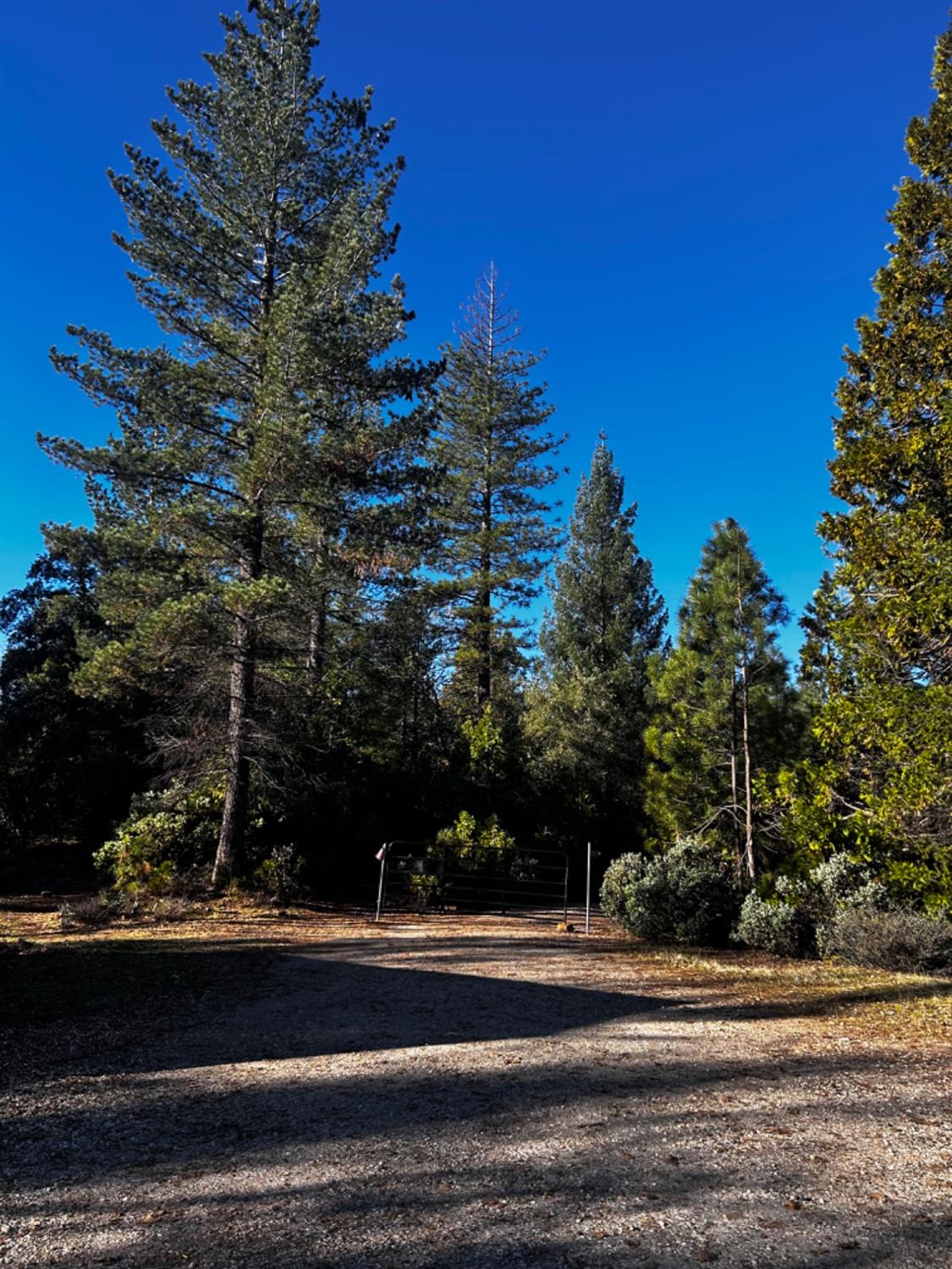 Old Emigrant Trail, Grass Valley, California image 30