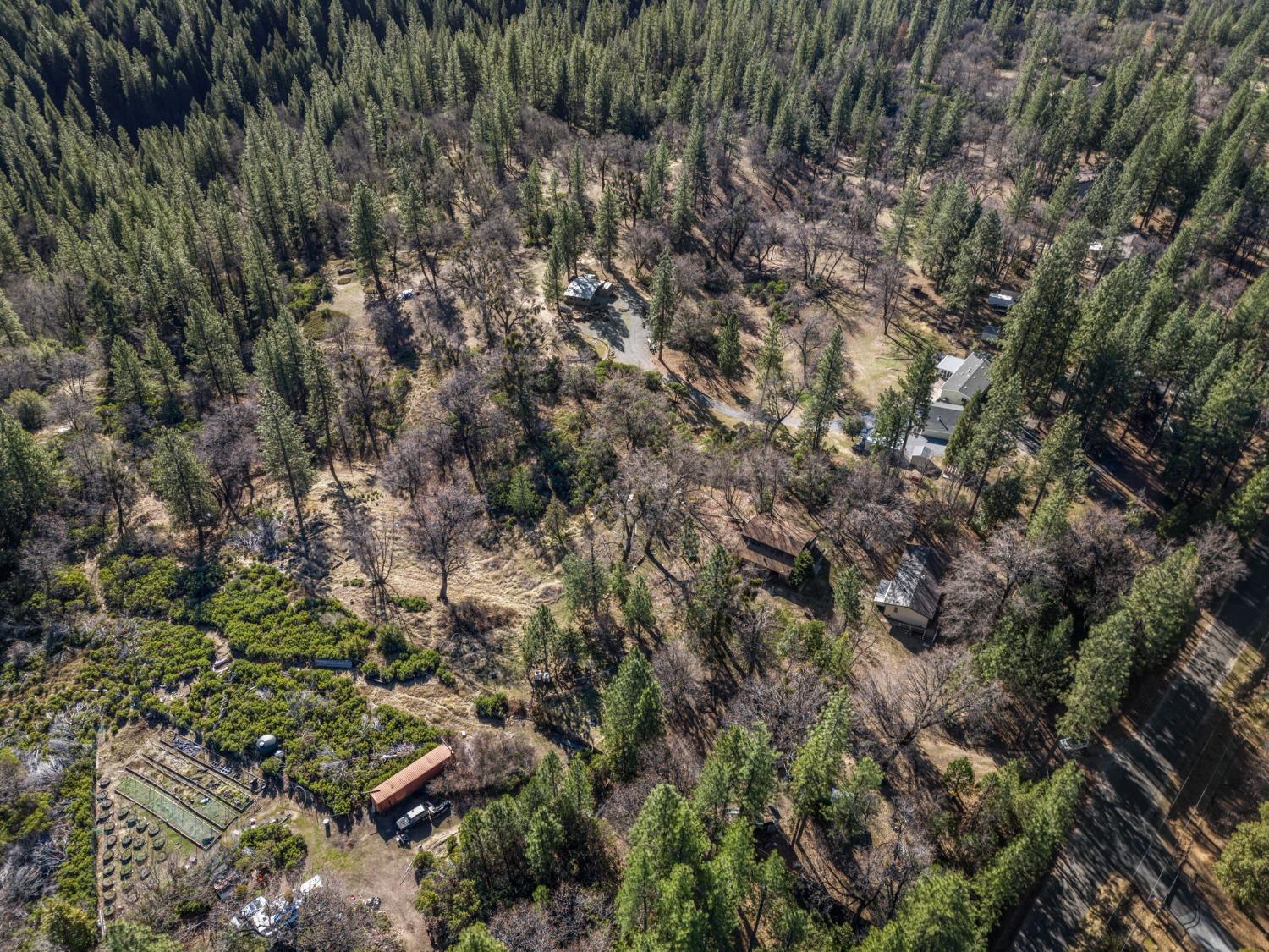 Cosumnes Mine Road, Somerset, California image 19