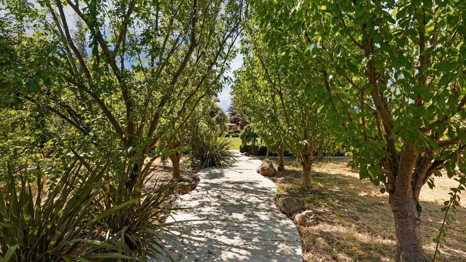Detail Gallery Image 89 of 96 For 26572 Atepa Ln, Thornton,  CA 95242 - 5 Beds | 3/1 Baths