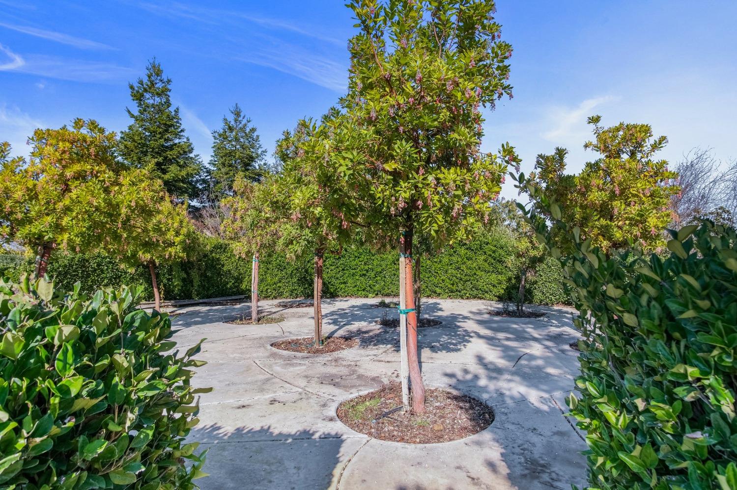 Detail Gallery Image 45 of 96 For 26572 Atepa Ln, Thornton,  CA 95242 - 5 Beds | 3/1 Baths