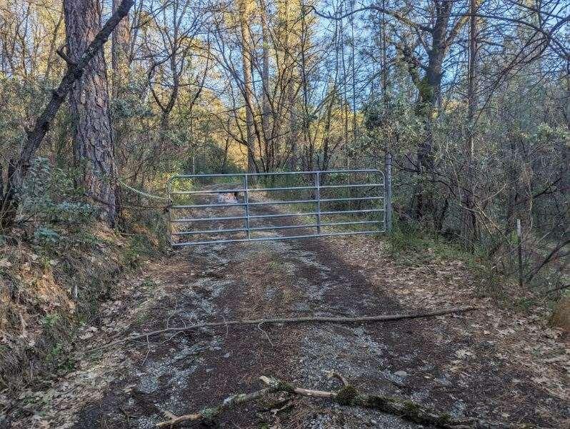 Rices Crossing Road, Oregon House, California image 2