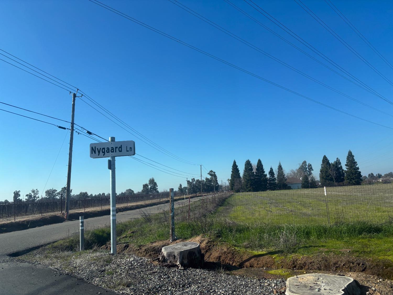 Nygaard Lane, Wilton, California image 4