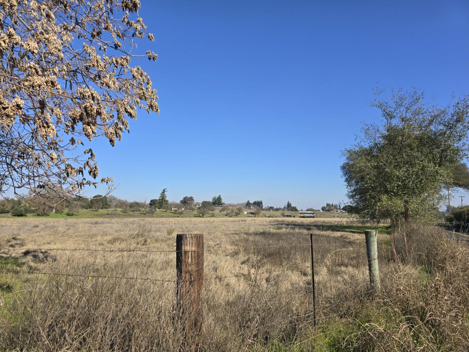 Orange Blossom Road, Oakdale, California image 8